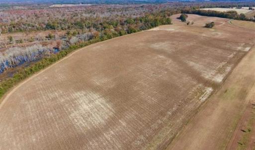 Photo of SOLD!!  271.34 Ac of Neuse Riverfront Farm & Timber Land For Sale in Craven Co NC!