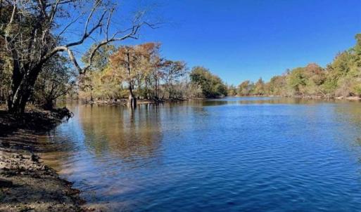 Photo of SOLD!!  271.34 Ac of Neuse Riverfront Farm & Timber Land For Sale in Craven Co NC!