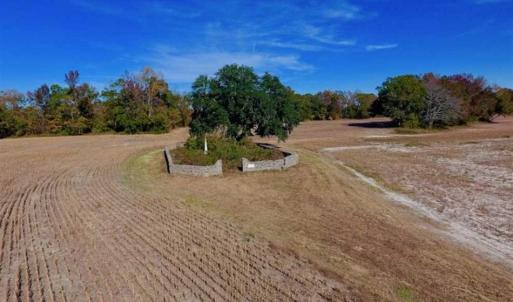 Photo of SOLD!!  271.34 Ac of Neuse Riverfront Farm & Timber Land For Sale in Craven Co NC!