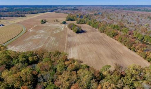 Photo of SOLD!!  271.34 Ac of Neuse Riverfront Farm & Timber Land For Sale in Craven Co NC!