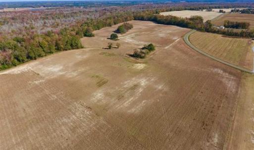 Photo of SOLD!!  271.34 Ac of Neuse Riverfront Farm & Timber Land For Sale in Craven Co NC!