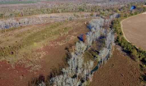 Photo of SOLD!!  271.34 Ac of Neuse Riverfront Farm & Timber Land For Sale in Craven Co NC!
