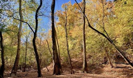 Photo of SOLD!!  271.34 Ac of Neuse Riverfront Farm & Timber Land For Sale in Craven Co NC!