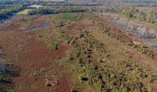 Photo of SOLD!!  271.34 Ac of Neuse Riverfront Farm & Timber Land For Sale in Craven Co NC!