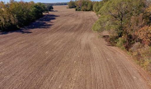 Photo of SOLD!!  271.34 Ac of Neuse Riverfront Farm & Timber Land For Sale in Craven Co NC!