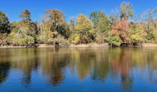 Photo of SOLD!!  271.34 Ac of Neuse Riverfront Farm & Timber Land For Sale in Craven Co NC!