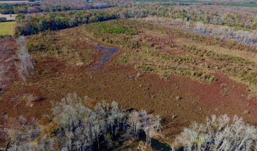 Photo of SOLD!!  271.34 Ac of Neuse Riverfront Farm & Timber Land For Sale in Craven Co NC!