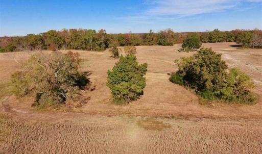 Photo of SOLD!!  271.34 Ac of Neuse Riverfront Farm & Timber Land For Sale in Craven Co NC!