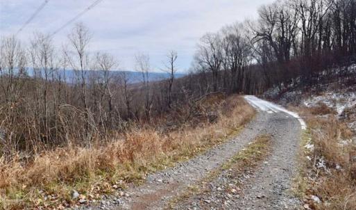Photo of UNDER CONTRACT!!  208 Acres of Hunting and Recreational Land For Sale in Bland County VA!