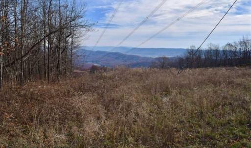 Photo of UNDER CONTRACT!!  208 Acres of Hunting and Recreational Land For Sale in Bland County VA!