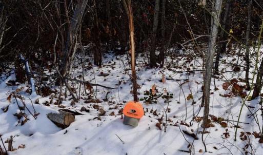Photo of UNDER CONTRACT!!  208 Acres of Hunting and Recreational Land For Sale in Bland County VA!