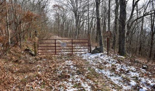 Photo of UNDER CONTRACT!!  208 Acres of Hunting and Recreational Land For Sale in Bland County VA!