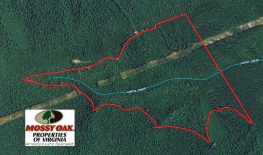 Photo of UNDER CONTRACT!!  208 Acres of Hunting and Recreational Land For Sale in Bland County VA!