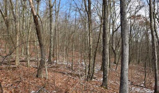 Photo of UNDER CONTRACT!!  208 Acres of Hunting and Recreational Land For Sale in Bland County VA!
