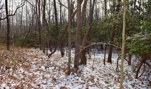 Photo of UNDER CONTRACT!!  208 Acres of Hunting and Recreational Land For Sale in Bland County VA!
