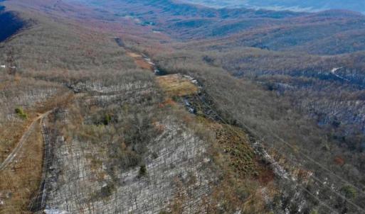 Photo of UNDER CONTRACT!!  208 Acres of Hunting and Recreational Land For Sale in Bland County VA!