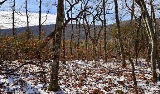 Photo of UNDER CONTRACT!!  208 Acres of Hunting and Recreational Land For Sale in Bland County VA!