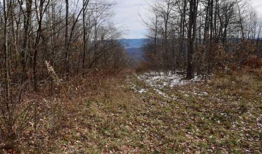 Photo of UNDER CONTRACT!!  208 Acres of Hunting and Recreational Land For Sale in Bland County VA!