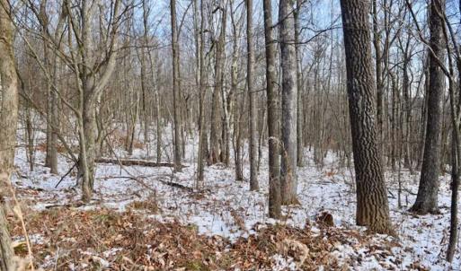 Photo of UNDER CONTRACT!!  208 Acres of Hunting and Recreational Land For Sale in Bland County VA!