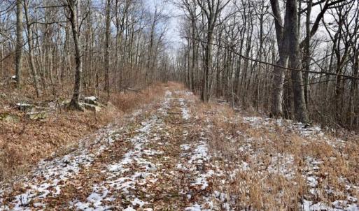 Photo of UNDER CONTRACT!!  208 Acres of Hunting and Recreational Land For Sale in Bland County VA!