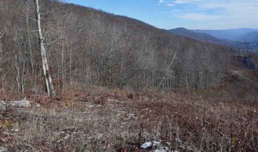Photo of UNDER CONTRACT!!  208 Acres of Hunting and Recreational Land For Sale in Bland County VA!