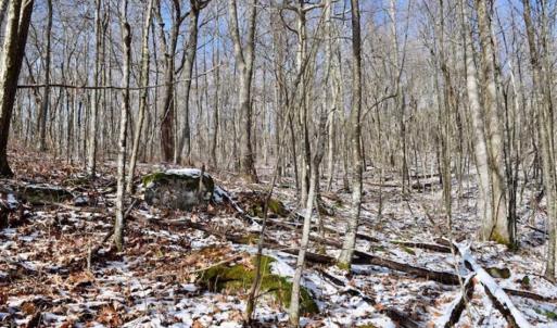 Photo of UNDER CONTRACT!!  208 Acres of Hunting and Recreational Land For Sale in Bland County VA!