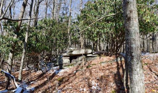 Photo of UNDER CONTRACT!!  208 Acres of Hunting and Recreational Land For Sale in Bland County VA!