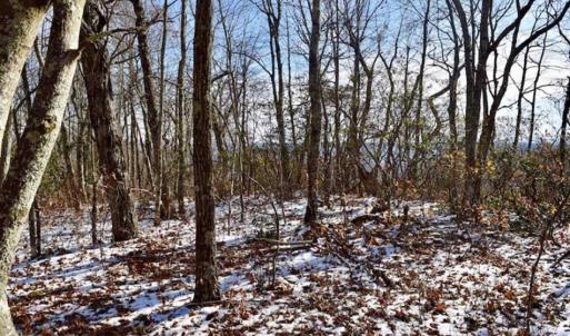 Photo of UNDER CONTRACT!!  208 Acres of Hunting and Recreational Land For Sale in Bland County VA!
