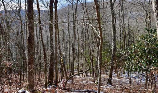 Photo of UNDER CONTRACT!!  208 Acres of Hunting and Recreational Land For Sale in Bland County VA!