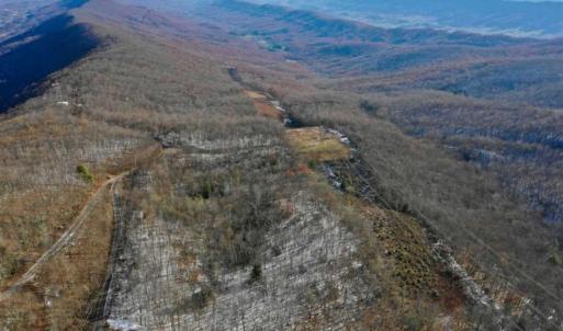 Photo of UNDER CONTRACT!!  208 Acres of Hunting and Recreational Land For Sale in Bland County VA!