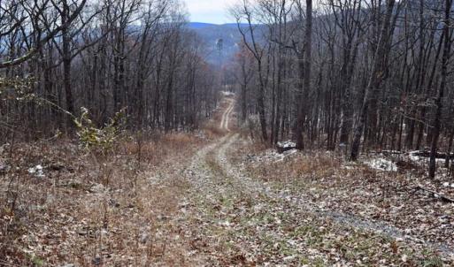 Photo of UNDER CONTRACT!!  208 Acres of Hunting and Recreational Land For Sale in Bland County VA!