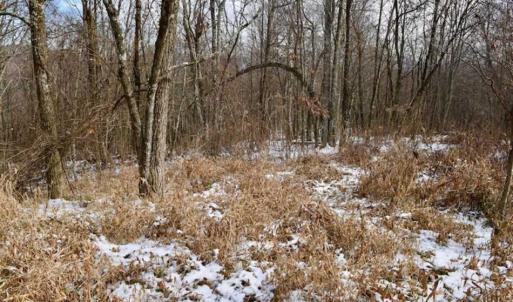 Photo of UNDER CONTRACT!!  208 Acres of Hunting and Recreational Land For Sale in Bland County VA!