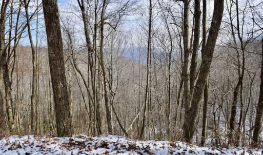 Photo of UNDER CONTRACT!!  208 Acres of Hunting and Recreational Land For Sale in Bland County VA!