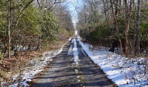Photo of UNDER CONTRACT!!  208 Acres of Hunting and Recreational Land For Sale in Bland County VA!