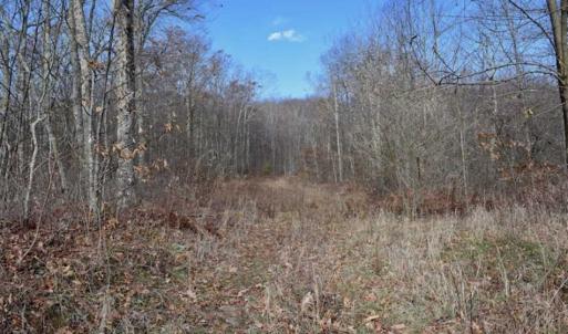 Photo of UNDER CONTRACT!!  208 Acres of Hunting and Recreational Land For Sale in Bland County VA!