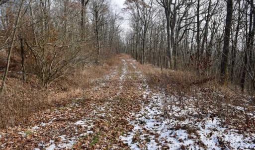 Photo of UNDER CONTRACT!!  208 Acres of Hunting and Recreational Land For Sale in Bland County VA!