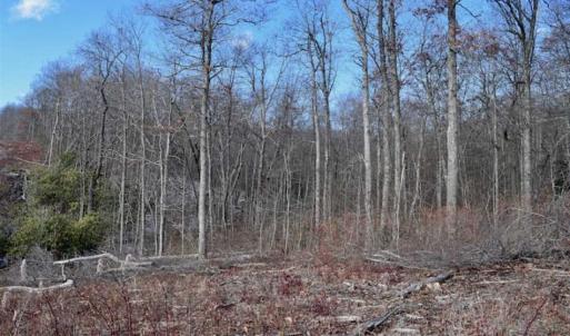 Photo of UNDER CONTRACT!!  208 Acres of Hunting and Recreational Land For Sale in Bland County VA!