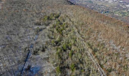 Photo of UNDER CONTRACT!!  208 Acres of Hunting and Recreational Land For Sale in Bland County VA!