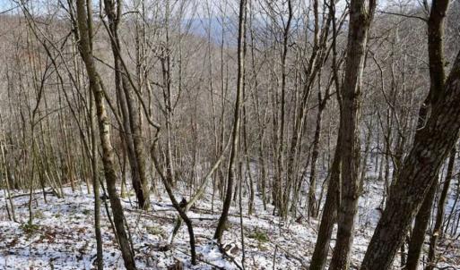 Photo of UNDER CONTRACT!!  208 Acres of Hunting and Recreational Land For Sale in Bland County VA!
