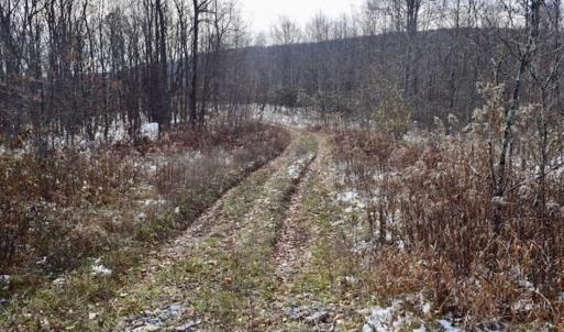 Photo of UNDER CONTRACT!!  208 Acres of Hunting and Recreational Land For Sale in Bland County VA!