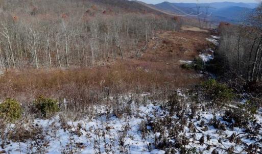 Photo of UNDER CONTRACT!!  208 Acres of Hunting and Recreational Land For Sale in Bland County VA!