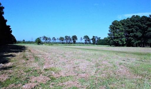 Photo of REDUCED!  27 Acres of Waterfront Residential Development Land in Beaufort County NC!