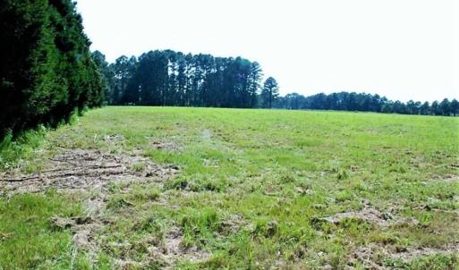 Photo of REDUCED!  27 Acres of Waterfront Residential Development Land in Beaufort County NC!