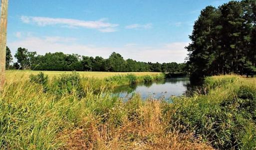 Photo of REDUCED!  27 Acres of Waterfront Residential Development Land in Beaufort County NC!