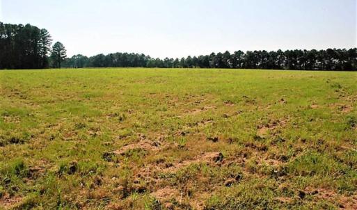 Photo of REDUCED!  27 Acres of Waterfront Residential Development Land in Beaufort County NC!