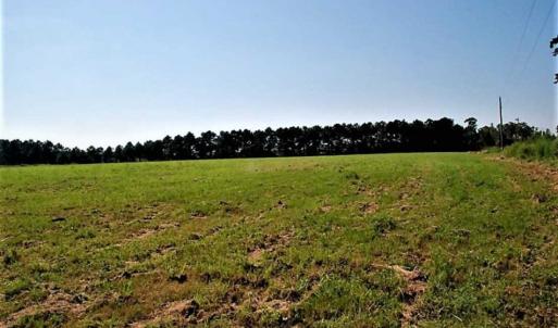Photo of REDUCED!  27 Acres of Waterfront Residential Development Land in Beaufort County NC!
