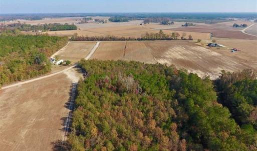 Photo of SOLD!!  42.75 Acres of Farm and Timber Land For Sale in Craven County NC!