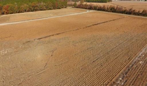 Photo of SOLD!!  42.75 Acres of Farm and Timber Land For Sale in Craven County NC!