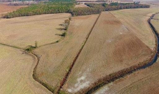 Photo of SOLD!!  42.75 Acres of Farm and Timber Land For Sale in Craven County NC!