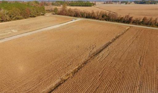 Photo of SOLD!!  42.75 Acres of Farm and Timber Land For Sale in Craven County NC!
